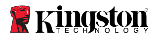 Logo kingston